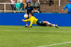 Movimentos Punho-defesa